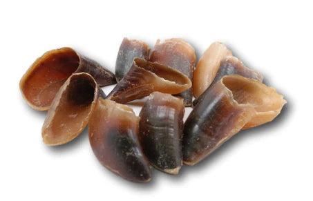 Bovine Hooves