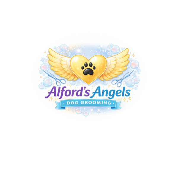 Nickel City Pet Pantry